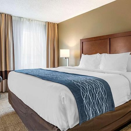 Comfort Inn & Suites Dimondale - Lansing Екстериор снимка