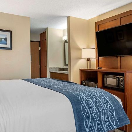 Comfort Inn & Suites Dimondale - Lansing Екстериор снимка