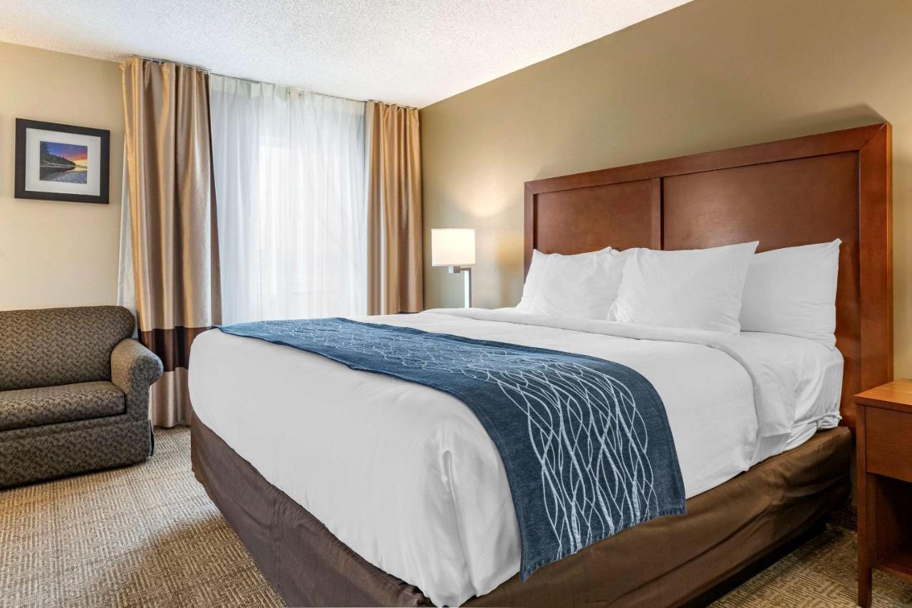 Comfort Inn & Suites Dimondale - Lansing Екстериор снимка