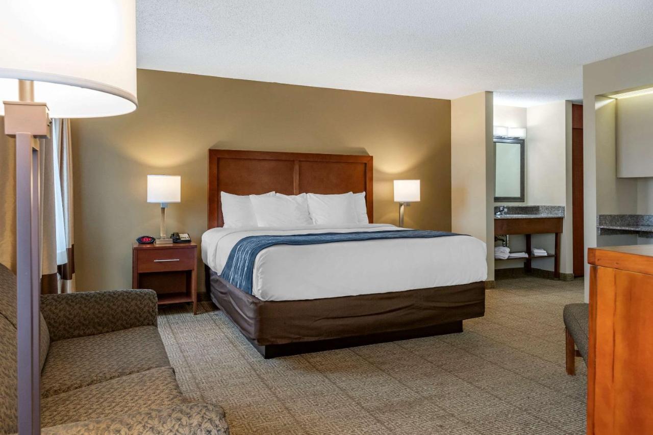 Comfort Inn & Suites Dimondale - Lansing Екстериор снимка