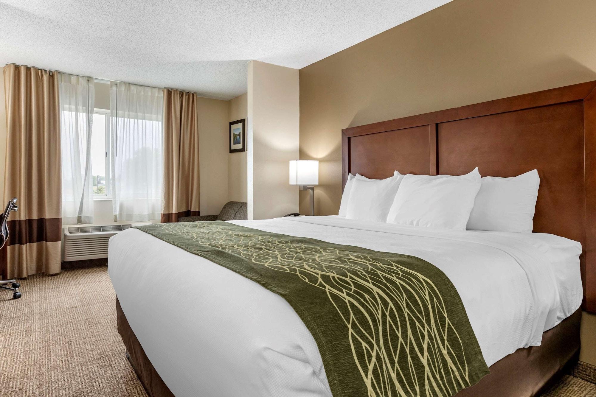 Comfort Inn & Suites Dimondale - Lansing Екстериор снимка
