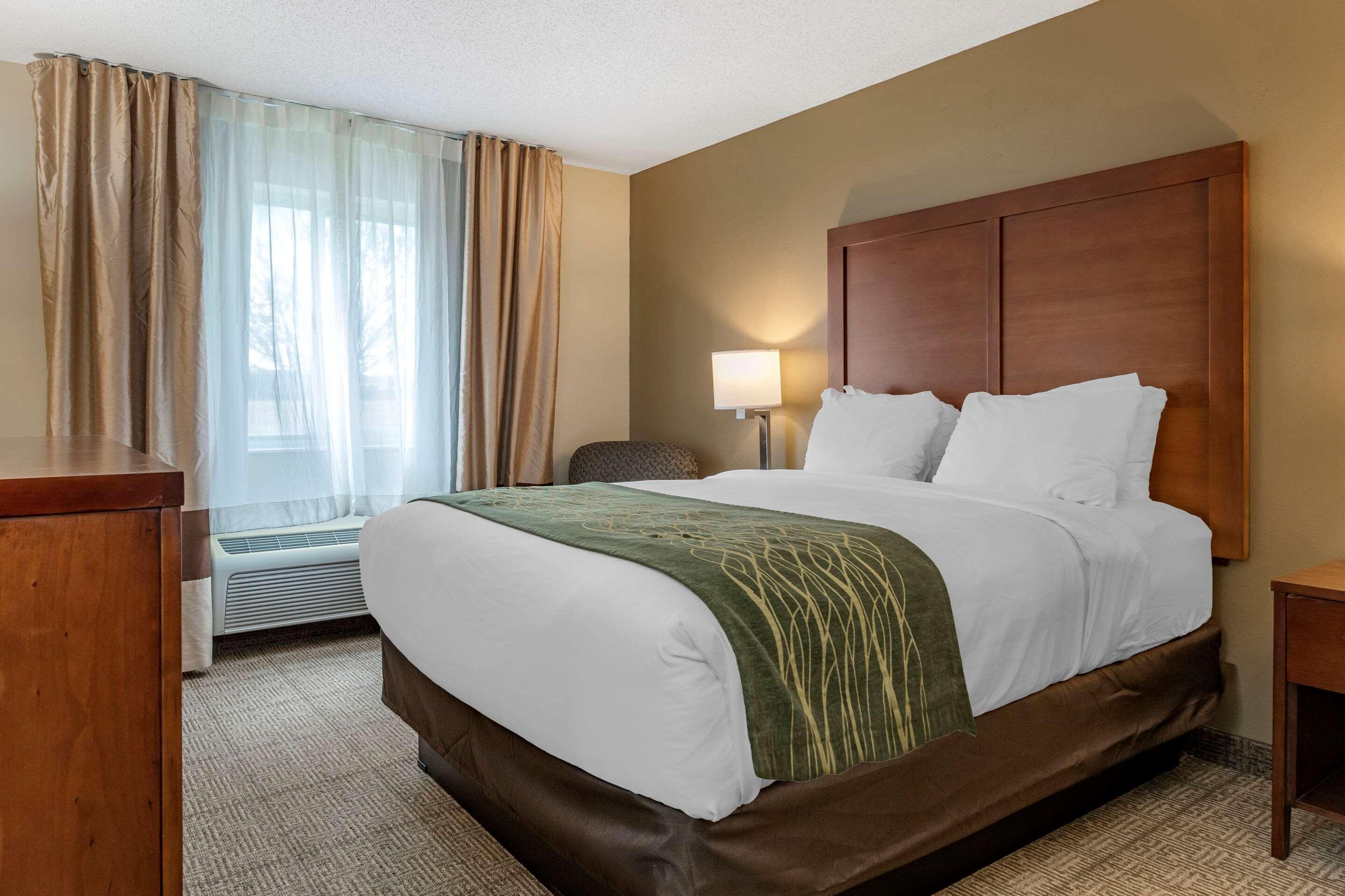 Comfort Inn & Suites Dimondale - Lansing Екстериор снимка