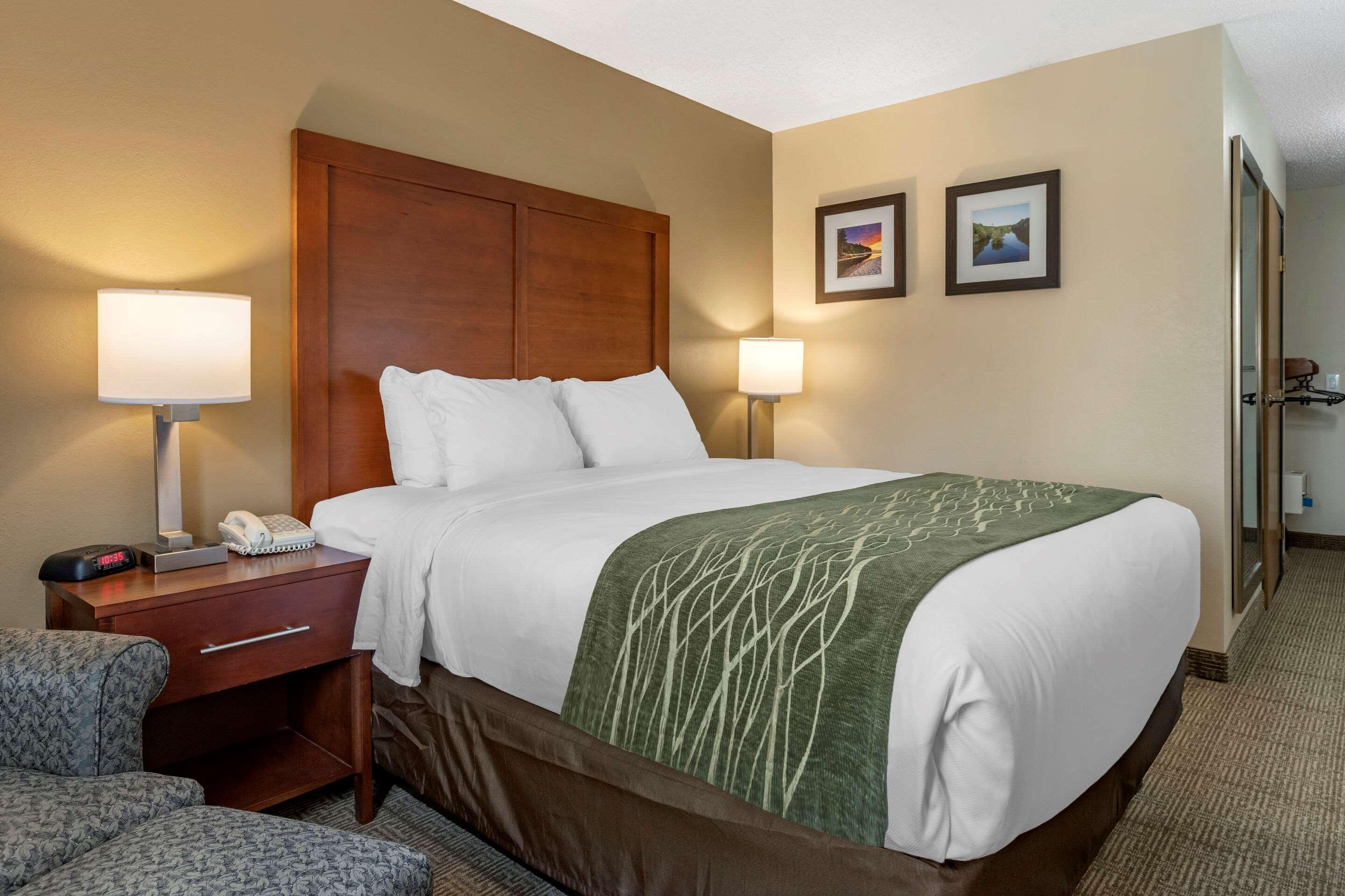 Comfort Inn & Suites Dimondale - Lansing Екстериор снимка
