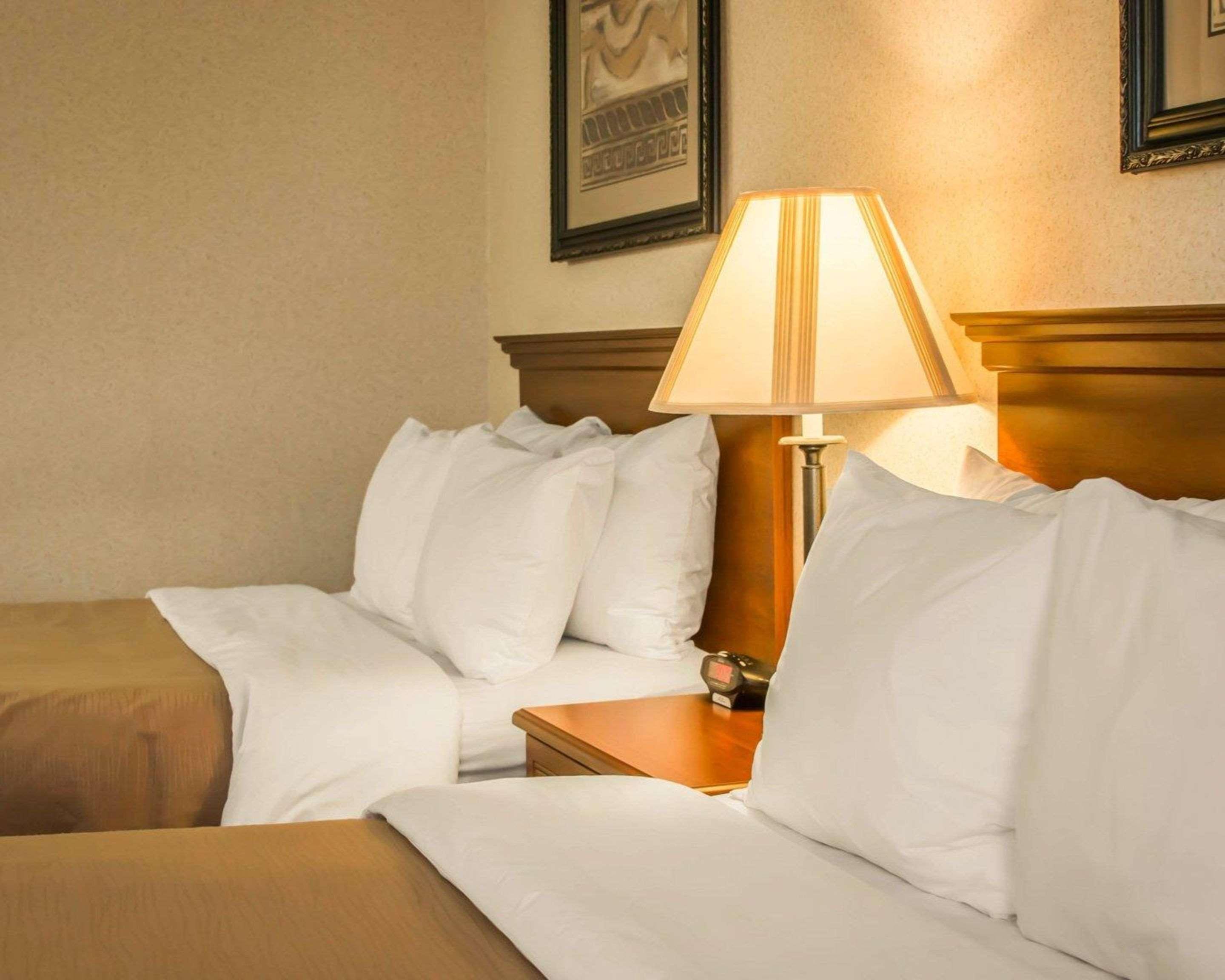 Comfort Inn & Suites Dimondale - Lansing Екстериор снимка
