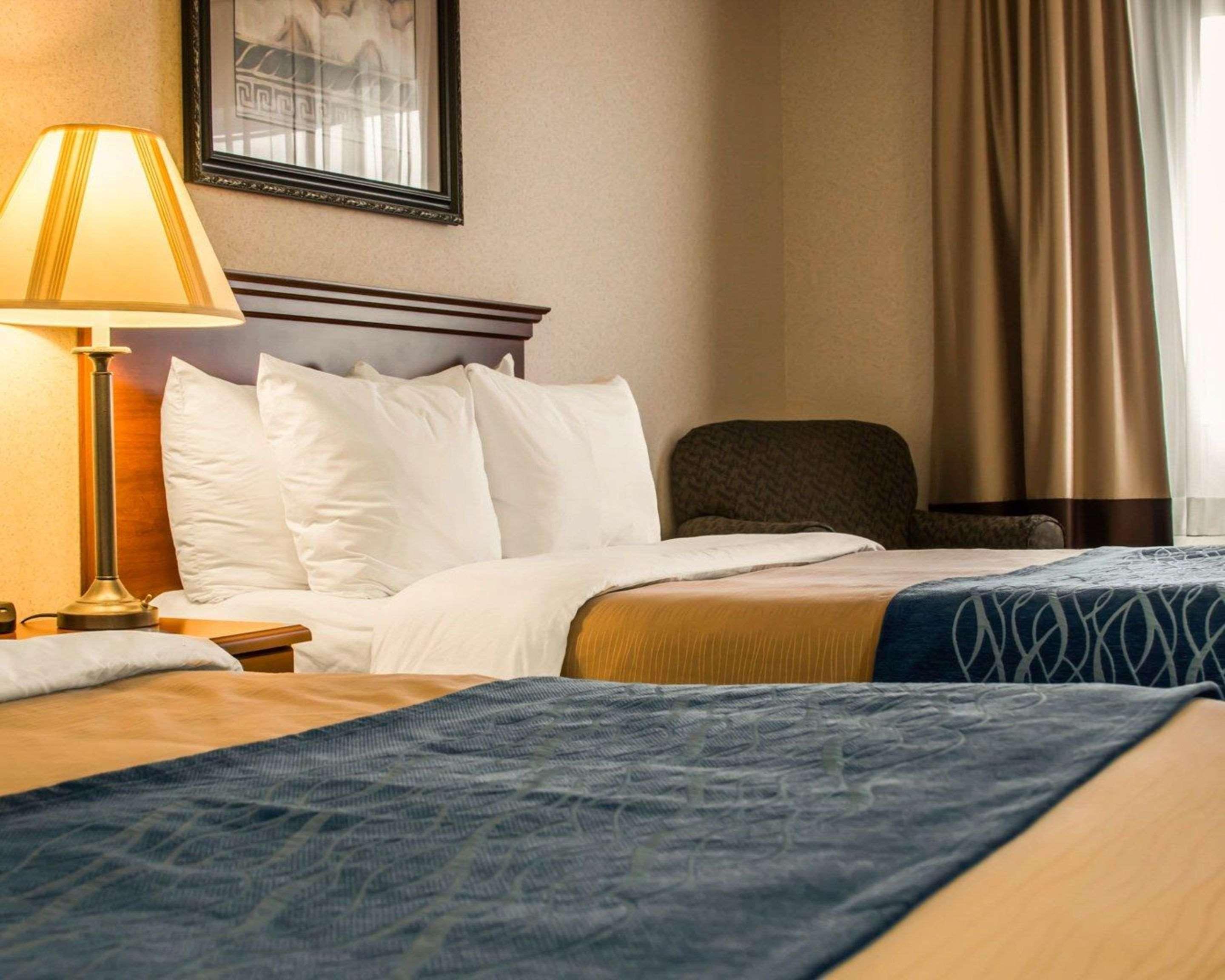 Comfort Inn & Suites Dimondale - Lansing Екстериор снимка