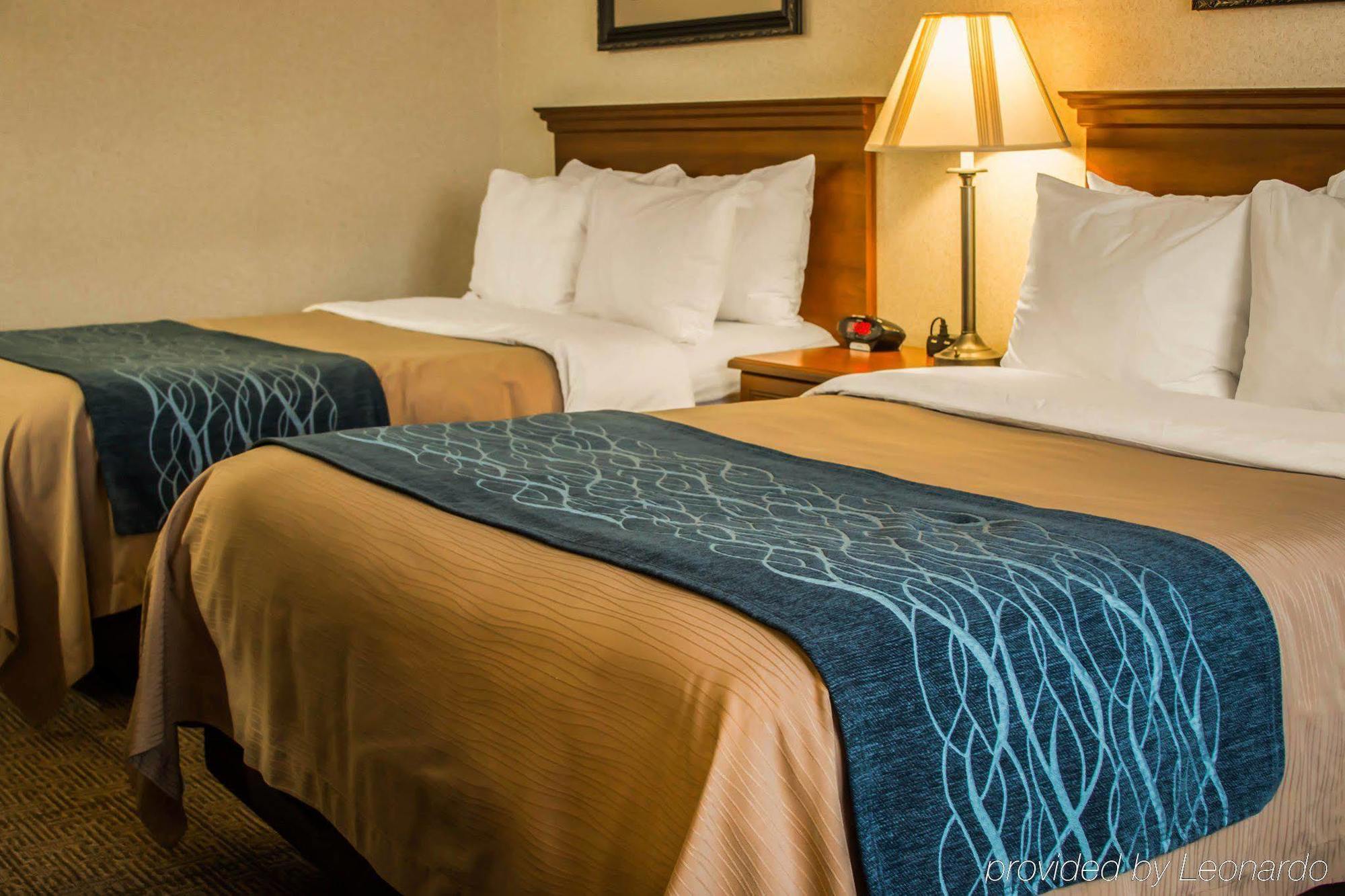 Comfort Inn & Suites Dimondale - Lansing Екстериор снимка